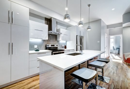 Fully renovated apartment in the old part of Montreal